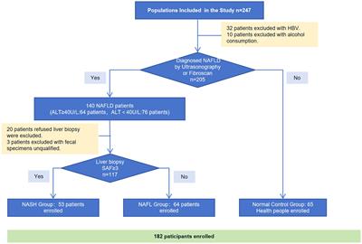 From gut to liver: unveiling the differences of intestinal microbiota in NAFL and NASH patients